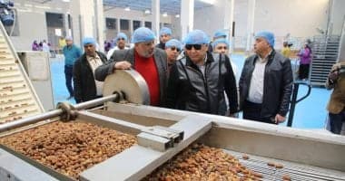 مصر تعزز صادرات التمور قبل رمضان المبارك